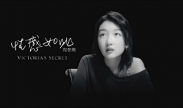 大片视频,大片视频深度解析